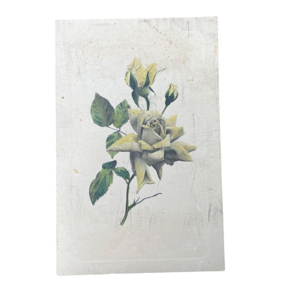 Vintage Postcard Victorian Yellow Rose Art 1911 u  Non Topographical Standard Ge